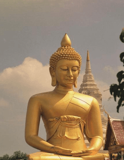 Golden Buddha Meditation Shrine